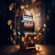 5542 bet