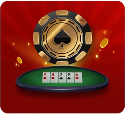 5542 bet