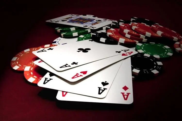 5542 bet